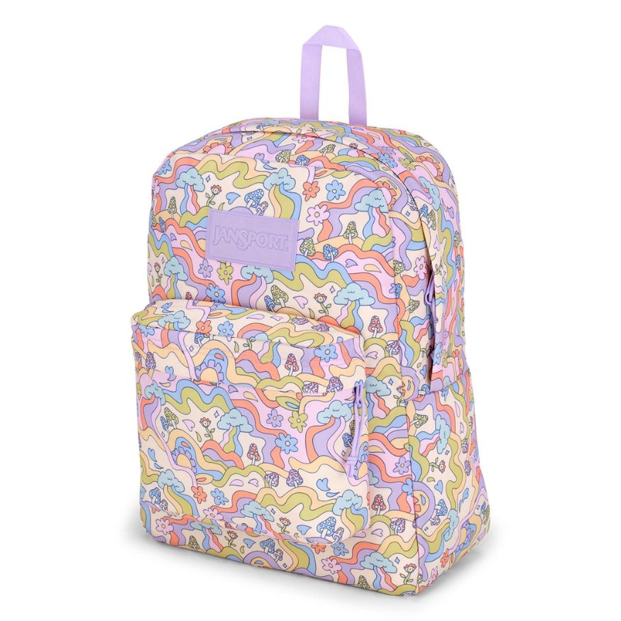 JanSport SuperBreak Plus Backpack Groovy Guides